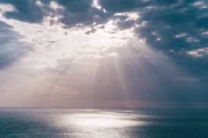Featured Image