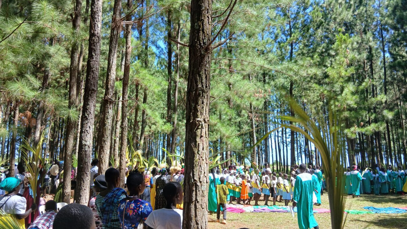 Palmzondag 20260329_105942