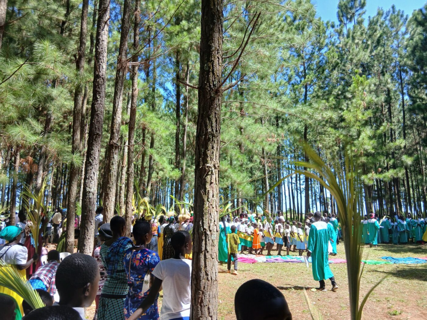 Palmzondag 20260329_105942