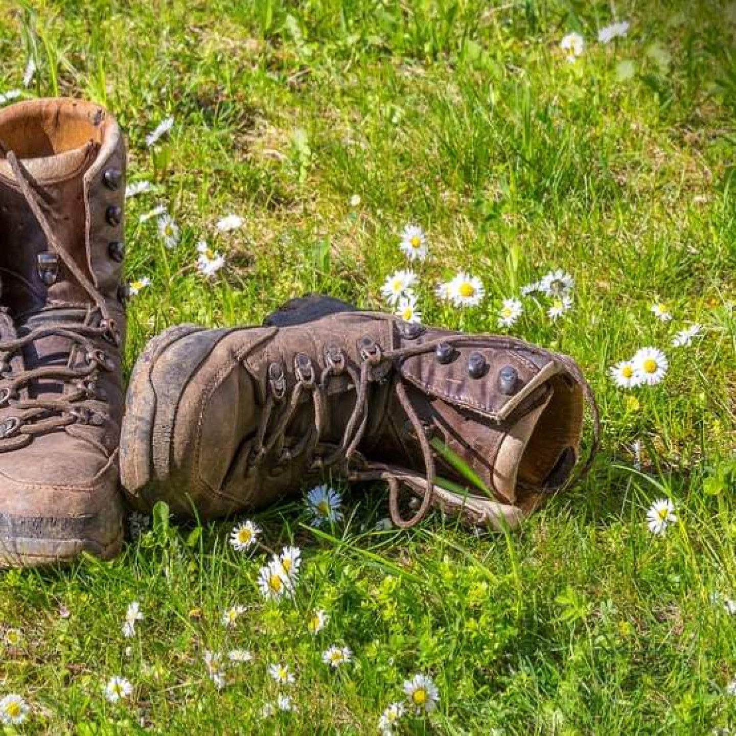 bergschoenen