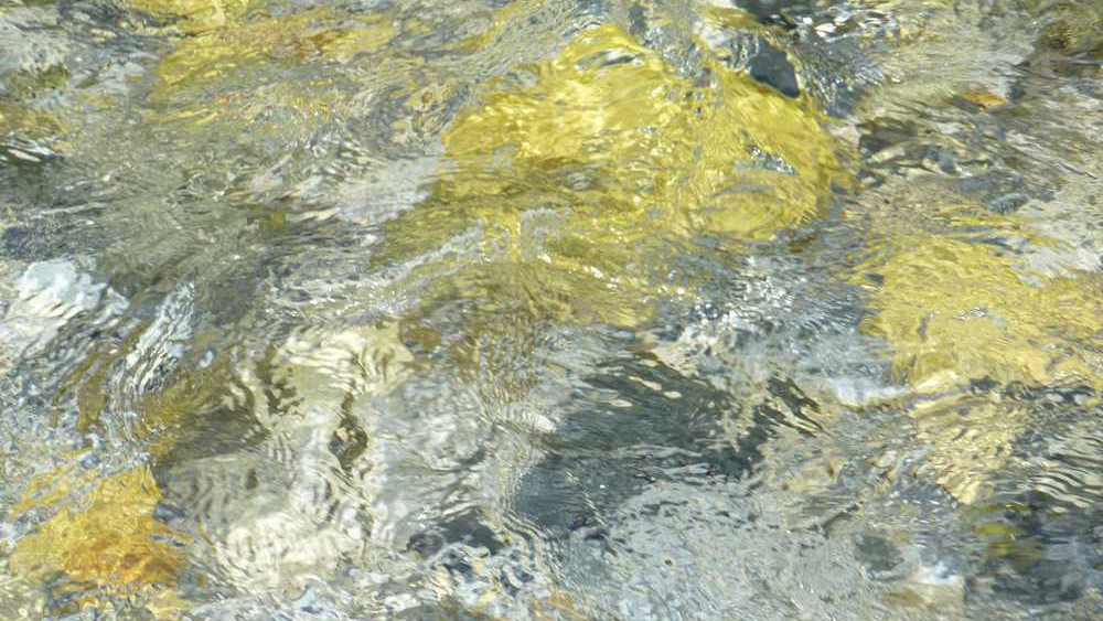 schilderij-water