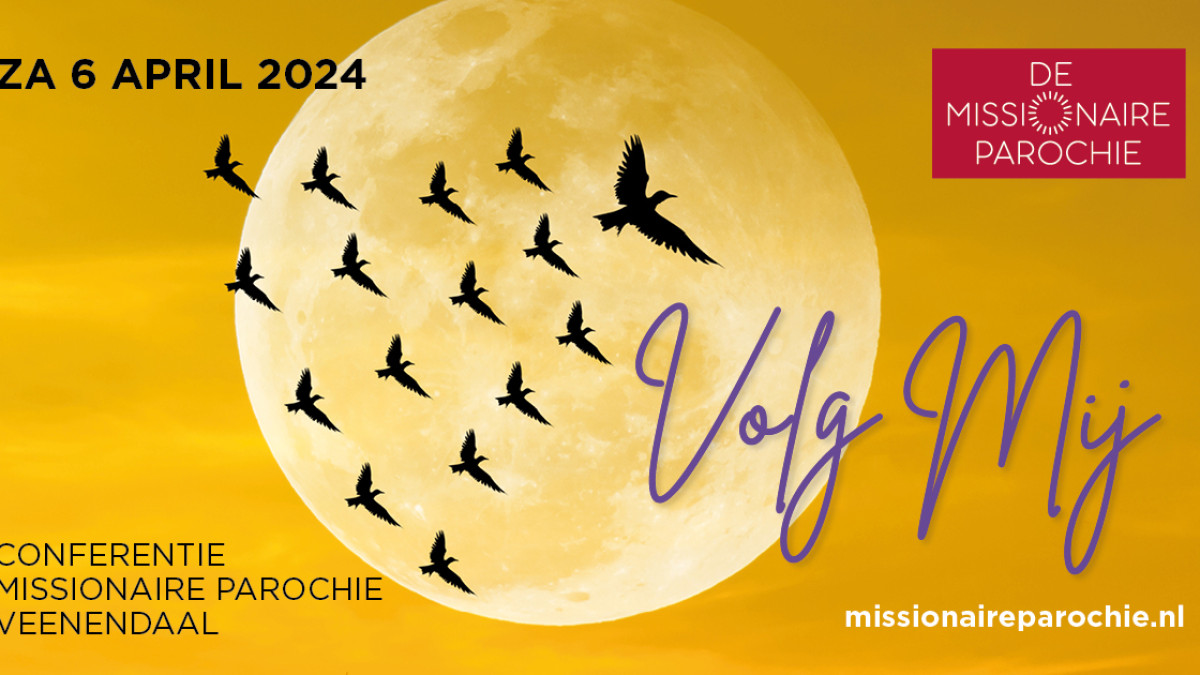 MP 2024 - banner info