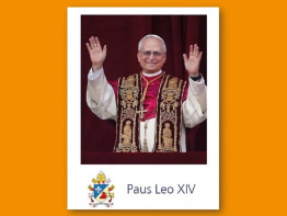 prentje paus Leo XIV web