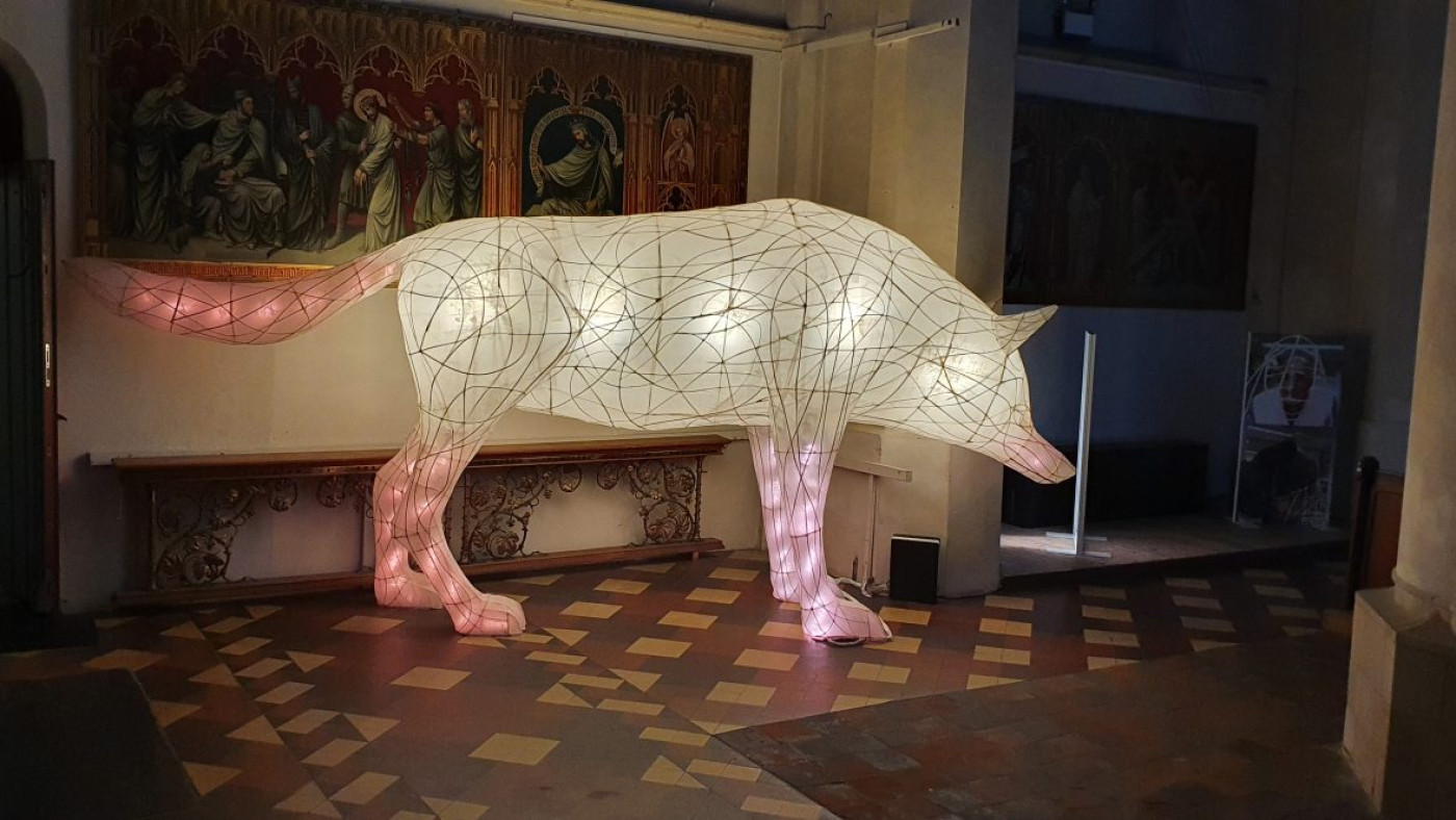 Wolf