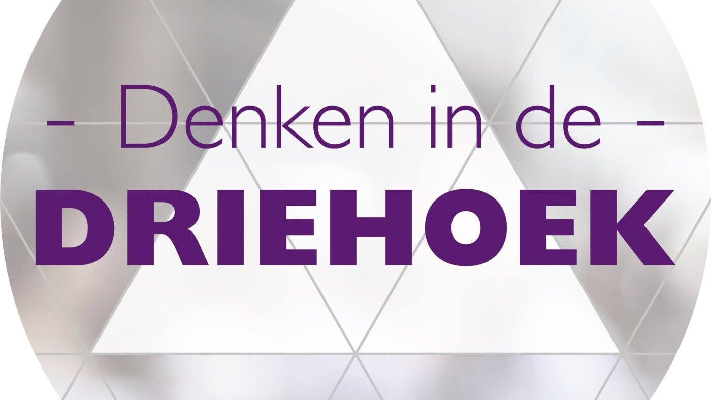 Denken in de driehoek logo