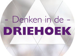 Denken in de driehoek logo