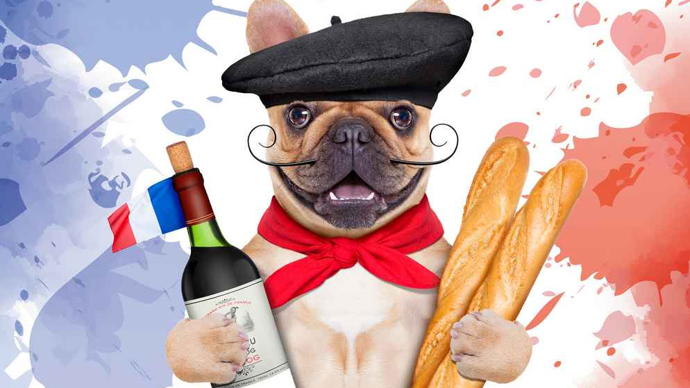 notabene-la-dans-en-france-uitsnede