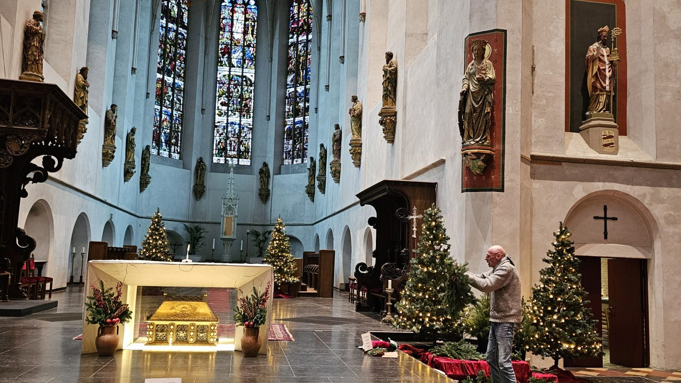 Kerstbomen